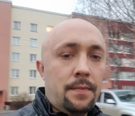 Александр Рыков, 35 лет, Лодейное Поле