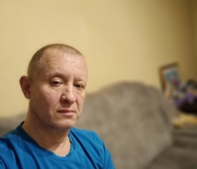 дмитрий, 42 года, Бийск