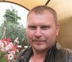 Николай, 37 лет, Курган