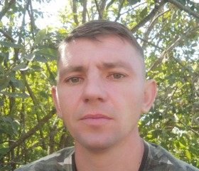 Viktor, 39 лет, Середина-Буда