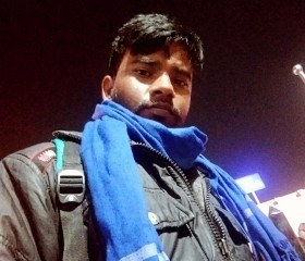Narendra Chaudha, 27 лет, Agra