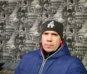 Дмитрий, 49 лет, Мичуринск