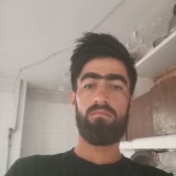 فریدون نظری, 18  , Centreville