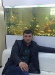 Wirvani, 39 лет, Sumqayıt