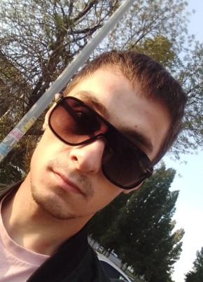 Sasha, 29, Russia, Voronezh