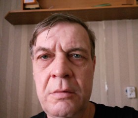 Владимир Лузгин, 49 лет, Иркутск