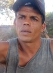 Ricardo, 35 лет, Guarulhos