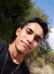 Chuky, 25 лет, Aguascalientes
