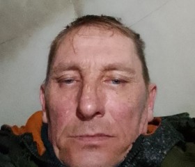 Иван, 50 лет, Новосибирск
