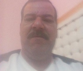 عادل, 56, Alexandria