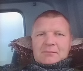 Дмитрий, 47 лет, Артем