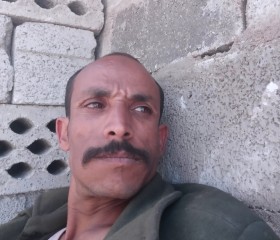 سياف, 20, Ibb