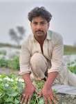 Khan.m, 35 лет, لاڑکانہ