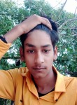 Nishan Sk, 20 лет, Siliguri