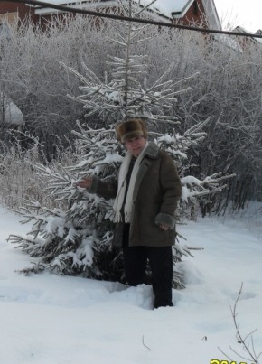 Геннадий Боровой, 77, Россия, Увельский