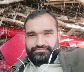 Nadir shah, 29 лет, احمد پُور شرقیہ