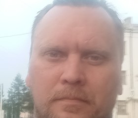 Роман Бубликов, 45 лет, Электросталь