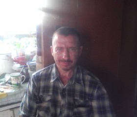 Андрей, 48 лет, Александровское (Томск)