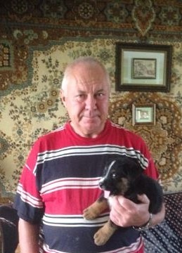Владимир, 75, Россия, Лосино-Петровский