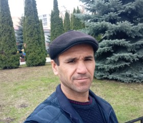 Мансур Амонов, 38 лет, Тула