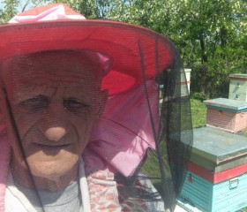 Ivan, 62 года, Berezeni
