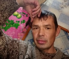 Иван, 41 год, Верхняя Тойма