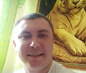 Oleg, 35 лет, Апатиты