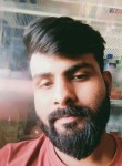 Dhanush, 26 лет, Ghaziabad