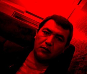 Руслан, 34 года, Toshkent