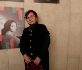 Эльвира, 61 год, Казань