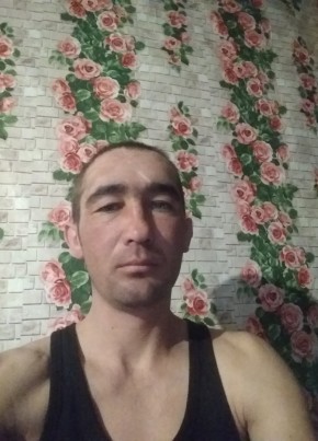 Станислав, 34, Россия, Алтайский