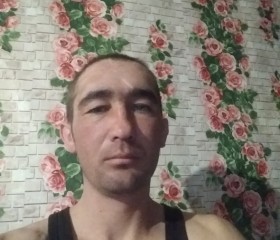 Станислав, 34 года, Алтайский