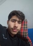 Kamran Tiger, 18  , Shimla