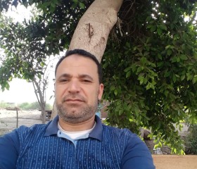 osama , 43, Al Hamul