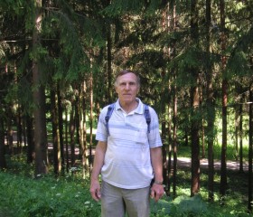 Анатолий, 74 года, Минеральные Воды