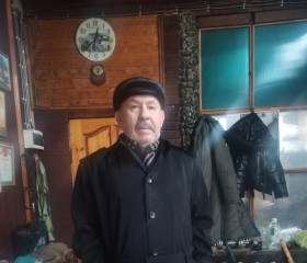 Aleksandr, 65, Moscow