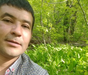Тимур, 38 лет, Обнинск