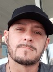 David, 42 года, Spring Hill (State of Florida)
