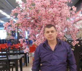Григорий, 54 года, Москва