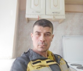 Петр, 43 года, Сызрань