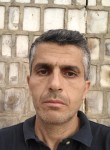 إياد حامد, 46 лет, السليمانية