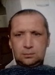 Nikolay, 38  , Sestroretsk