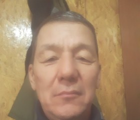 Марат, 54 года, Қызылорда