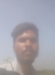 Nilesh, 29 лет, Ahmedabad