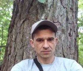 Игорь, 43 года, Кувшиново