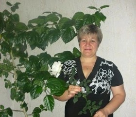 Маргарита, 54 года, Рубцовск