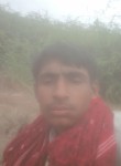 છમશ, 18 лет, Ahmedabad