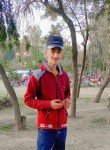 .., 20, Islamabad