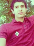 Aziz, 27 лет, Қызылорда