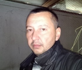 Захар, 47 лет, Toshkent